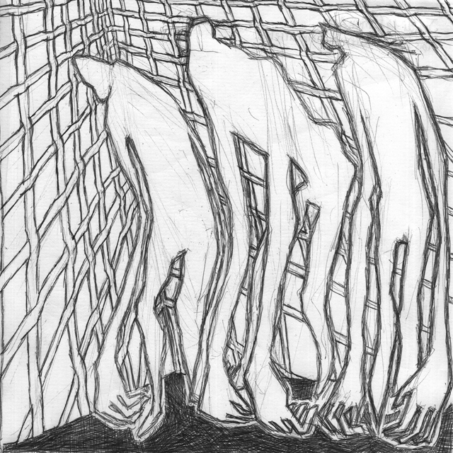Stylos à bille sur papier